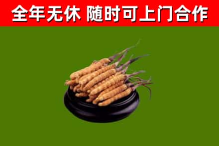 台州市烟酒回收冬虫夏草.jpg